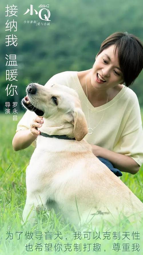 肯恩大学学生卡